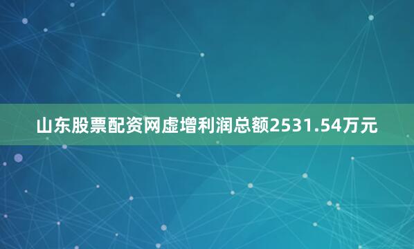 山东股票配资网虚增利润总额2531.54万元