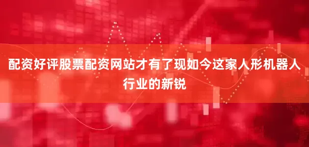 配资好评股票配资网站才有了现如今这家人形机器人行业的新锐