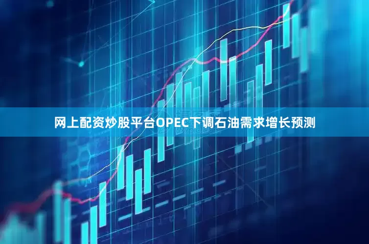 网上配资炒股平台OPEC下调石油需求增长预测